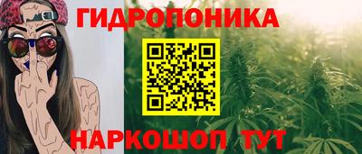 дмт Волжский