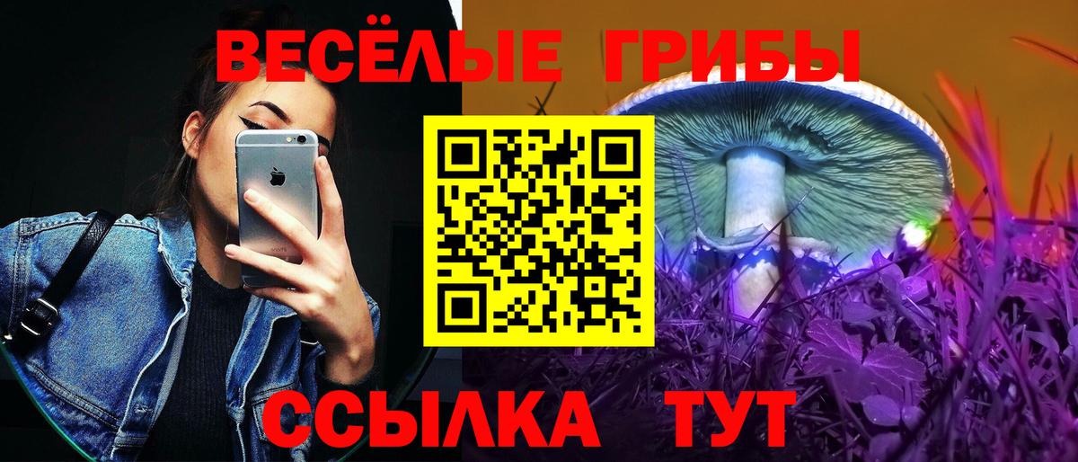 Псилоцибиновые грибы MAGIC MUSHROOMS Миасс